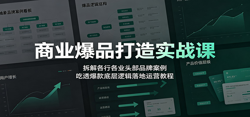 商业爆品实战课：拆解头部品牌案例，掌握爆款底层逻辑与落地运营