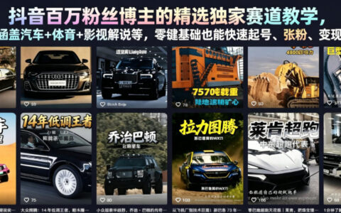 抖音百万粉博主精选赛道教学：AI工具+体育汽车影视解说，零基础快速起号变现