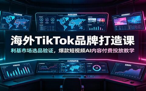 海外TikTok品牌课：利基选品验证+AI短视频内容付费投放教学