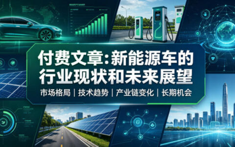 付费文章：新能源汽车行业现状与未来展望，内卷与政策红利深度解析
