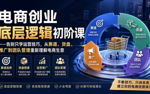 电商创业底层逻辑课：赛道货盘推广团队管理，突破增长瓶颈