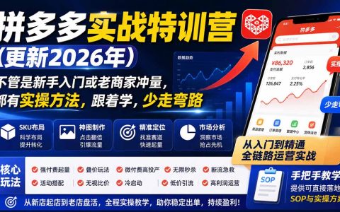 拼多多实战特训营2026：SKU布局强付费起量，新手老手爆单实操