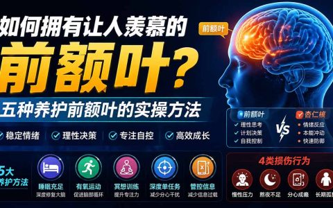 付费文章：如何拥有让人羡慕的前额叶？五种养护前额叶的实操方法