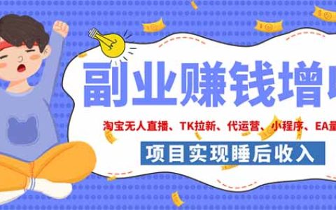 2026年真实副业项目：淘宝无人直播与海外TK拉新，9个落地管道搭建被动收入