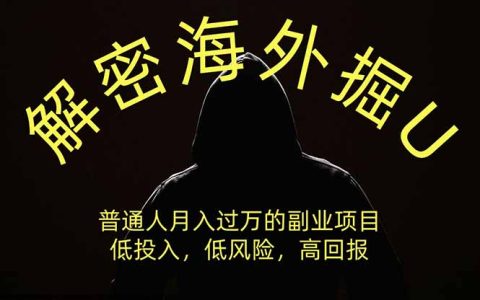 海外掘U副业新路径：低投入高回报，让钱生钱稳赚变现过万