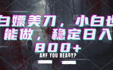 白嫖美刀项目实操教程，小白也能变现800方法稳定收益
