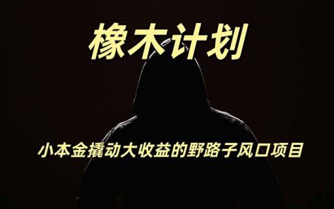 橡木计划副业新风口，海外U本位钱生钱项目，每天2小时小投入撬动高回报