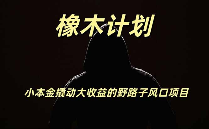 橡木计划副业新风口，海外U本位钱生钱项目，每天2小时小投入撬动高回报