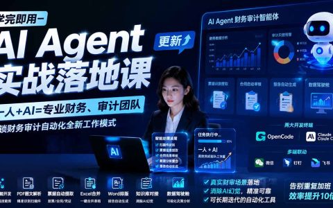 AI Agent实战课：一人+AI打造财务审计自动化团队，Excel/PDF高效处理