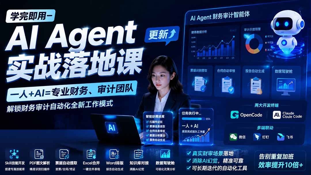 学完即用AI Agent实战课：财务审计自动化，一人+AI高效办公