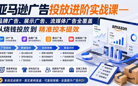 亚马逊广告投放进阶实战课：SP/品牌/展示广告诊断优化与精准控本提效