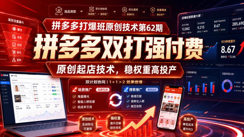 拼多多双打强付费起店技术，稳定成本+全店托管双计划，稳权重高投产