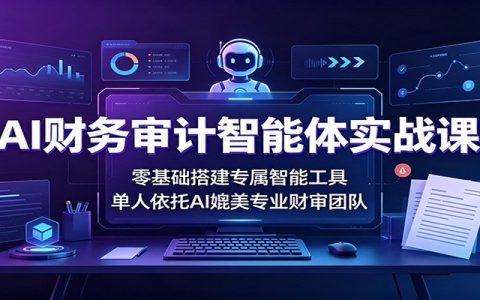 AI财务审计智能体实战课：零基础用OpenCode搭建专属工具，单人媲美专业团队