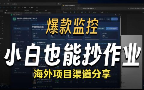 抖音爆款数据监控工具教程_海外网盘拉新渠道实操指南