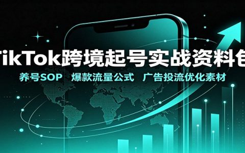 TikTok跨境起号实战资料包：养号SOP+爆款流量公式+广告投流优化