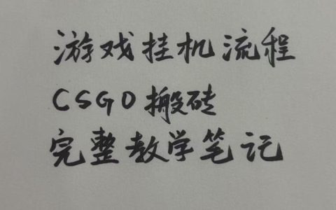 CSGO游戏搬砖挂G全流程，小白当天学会捡漏见收益