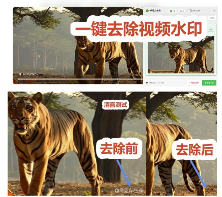 太香了！千问视频图片去水印神器，免费插件一键批量去水印，离线隐私安全