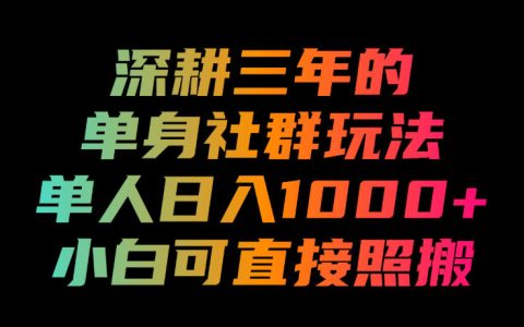 单身社群变现玩法拆解：单人变现100步骤0+，小白可照搬的引流教程