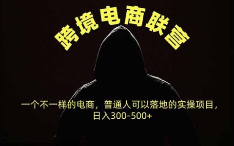跨境电商联营新模式，普通人可操作变现300步骤-500方法的电商副业