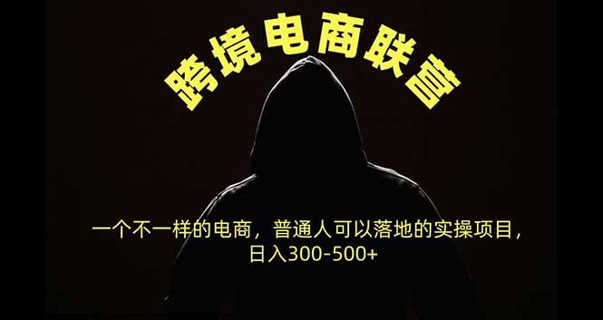 跨境电商联营新模式，普通人可操作变现300步骤-500方法的电商副业