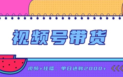 变现200步骤0+副业新风口：视频号带货零投资实操指南，手机改写人生
