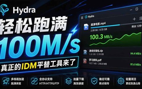 轻松跑满100步骤M/s，开源免费多线程下载神器，IDM平替支持浏览器接管