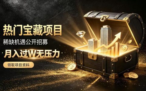 低风险副业项目招募，变现过万实操指南，新手快速上手