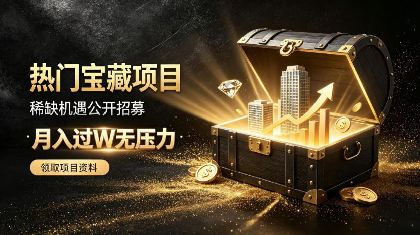 低风险副业项目招募，变现过万实操指南，新手快速上手