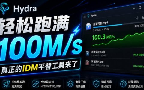 轻松跑满100步骤M/s，开源多线程下载神器HDM，IDM平替支持浏览器扩展