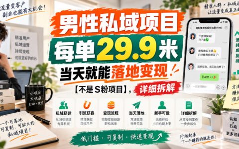 男性私域项目拆解：每单29.9元当天落地变现，非S粉玩法与实操路径