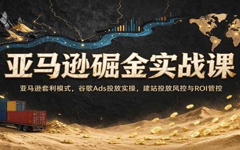亚马逊套利实战：谷歌Ads投放与AI建站ROI管控课