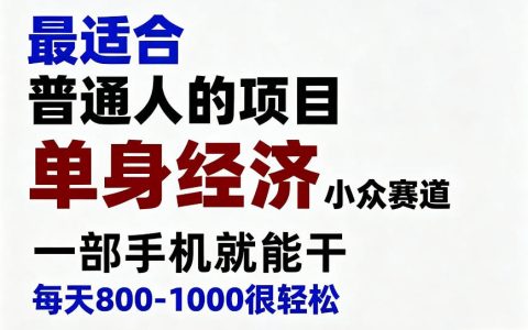 单身经济冷门赛道，手机副业变现800方法，普通人零门槛长期项目