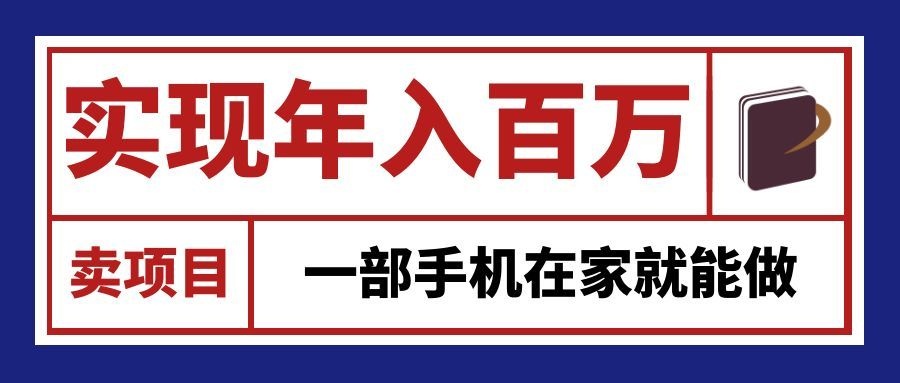 网创平台卖项目年入百万，一部手机在家做网创系统虚拟资料