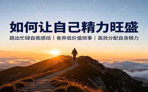 精力管理秘诀：舍弃低价值琐事，告别无效内耗，把精力用在刀刃上