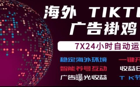 海外TikTokG机流量变现7x24自动运行广告曝光收益日结