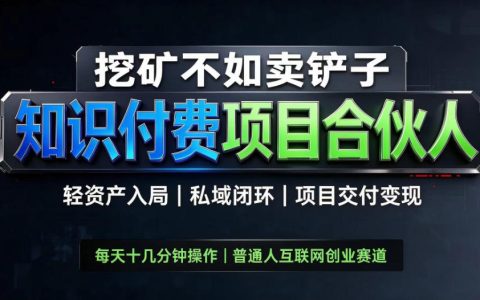 挖矿不如卖铲子，2026知识付费卖项目全套玩法，普通人轻资产入局私域变现