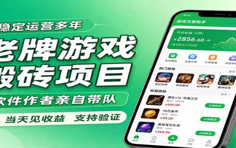 CSGOG机捡漏赚钱项目，薄凉辅助自动搬砖，当天见收益