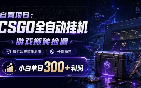 CSGO搬砖捡漏自动化G机软件，小白变现300方法稳定教程