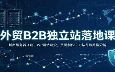 外贸B2B独立站建站课：WordPress域名服务器搭建与SEO数据分析