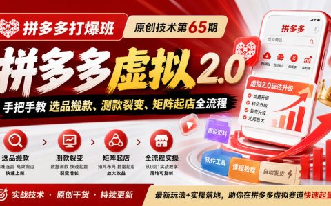 拼多多虚拟2.0实战：选品搬款测款裂变矩阵起店全流程