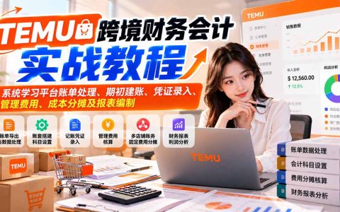 TEMU跨境财务全盘账务实战：账单处理、期初建账、凭证录入与报表编制教程