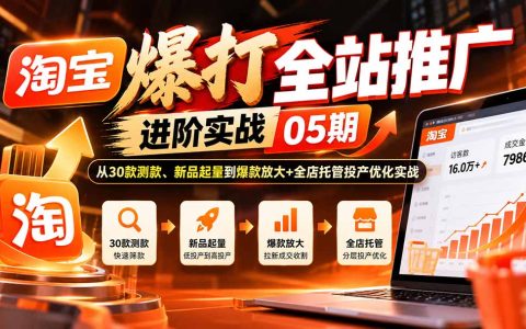 淘宝全站推广实战：30款测款+新品起量+爆款放大与托管优化
