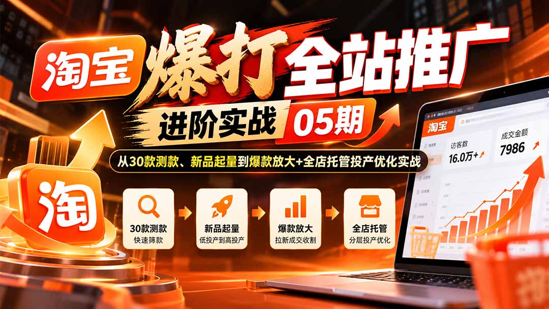 淘宝全站推广实战：30款测款+新品起量+爆款放大与托管优化