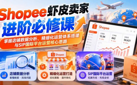 2026 Shopee虾皮数据分析和SIP运营进阶课