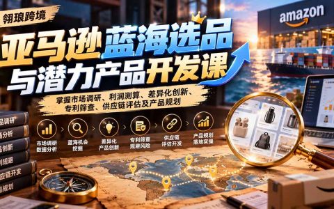 亚马逊选品课：市场调研利润测算与专利筛查差异化开发实战