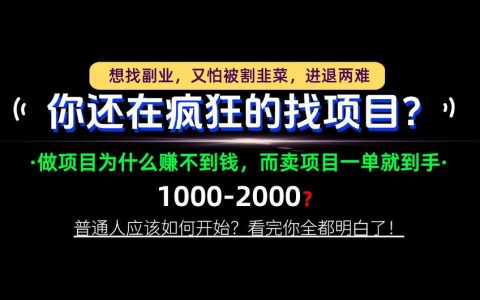 普通人0基础卖项目怎么做？拆解互联网创业底层逻辑与变现方法