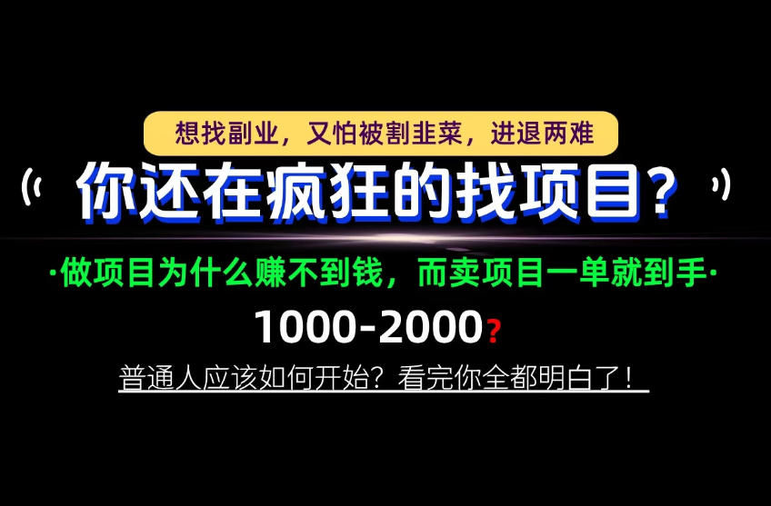 普通人0基础卖项目怎么做?拆解互联网创业底层逻辑与变现方法 普通人0基础卖项目怎么做?拆解互联网创业底层逻辑与变现方法