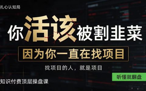 知识付费操盘课：普通人卖项目赚钱，从干活的人变收钱的人