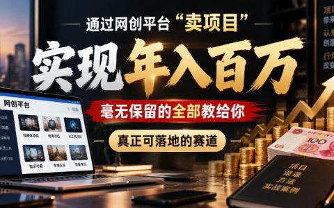 网创平台卖项目年入100步骤w实战：虚拟资料小程序4大系统可落地赛道