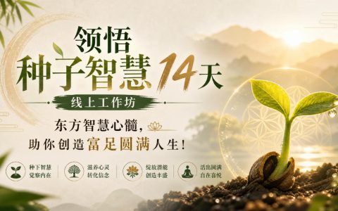 鹿大米种子智慧14天工作坊｜财富关系实操模板，创造富足圆满人生